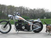 Triumph Speedmaster Custom Rigid