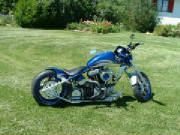 Harley Davidson Buell Custom Rigid