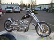 Harley Sportster Rigid Custom