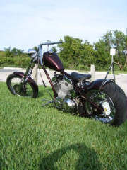 HD Sportster Custom Rigid Chopper