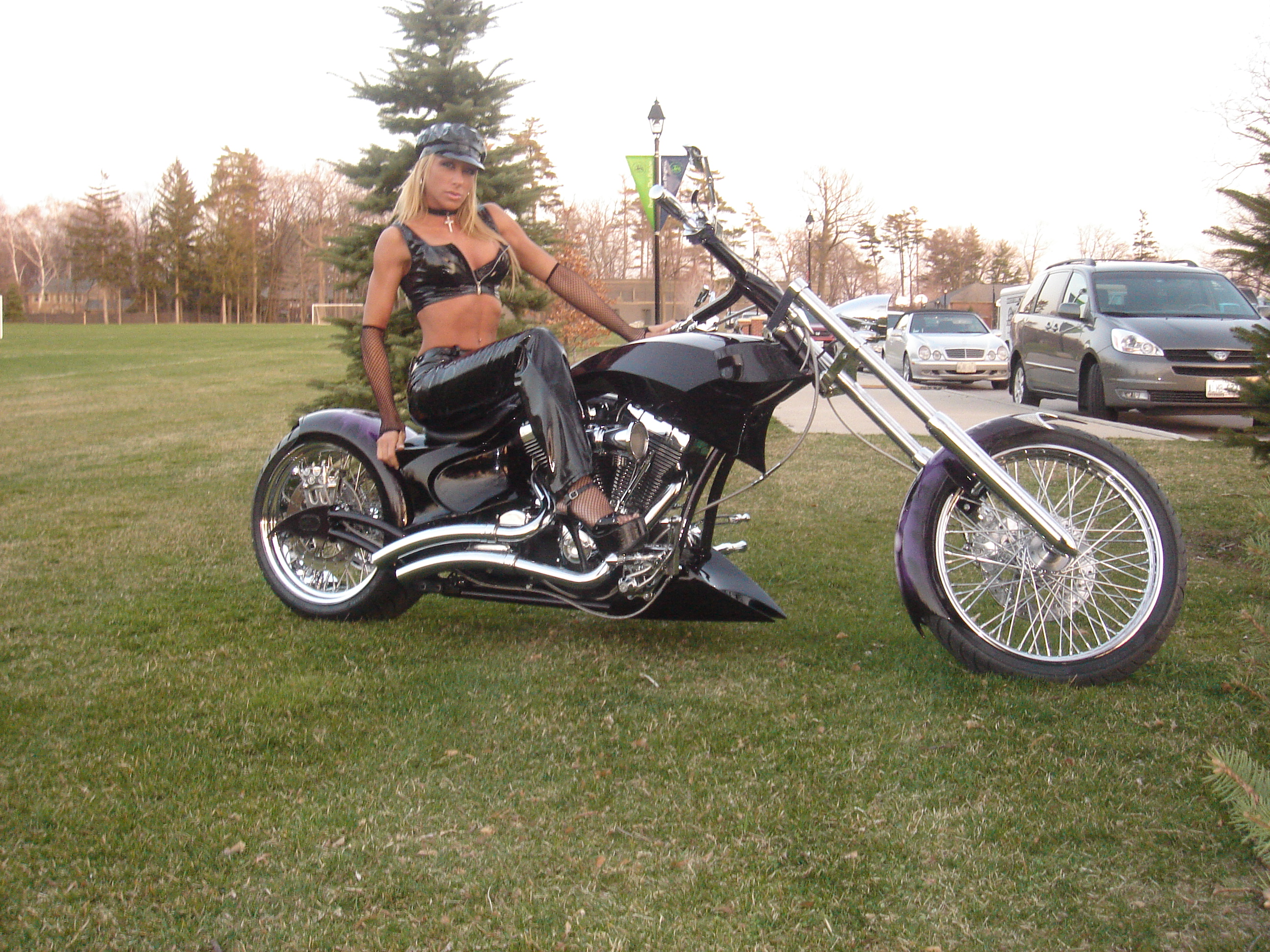 Custom Harley Twin Cam 